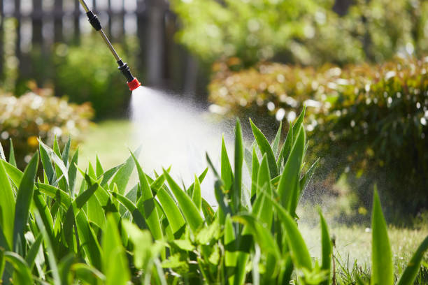 24/7 Emergency Ant Control experts in Lexington, TN