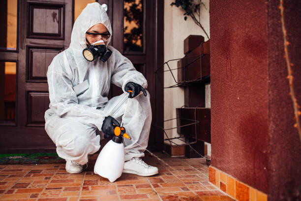 Reliable Ant Control contractor in Lexington, TN by Nex Pest Control