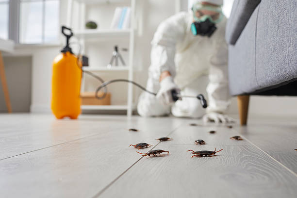 Trusted Emergency Pest Control service in Lexington, TN - Nex Pest Control